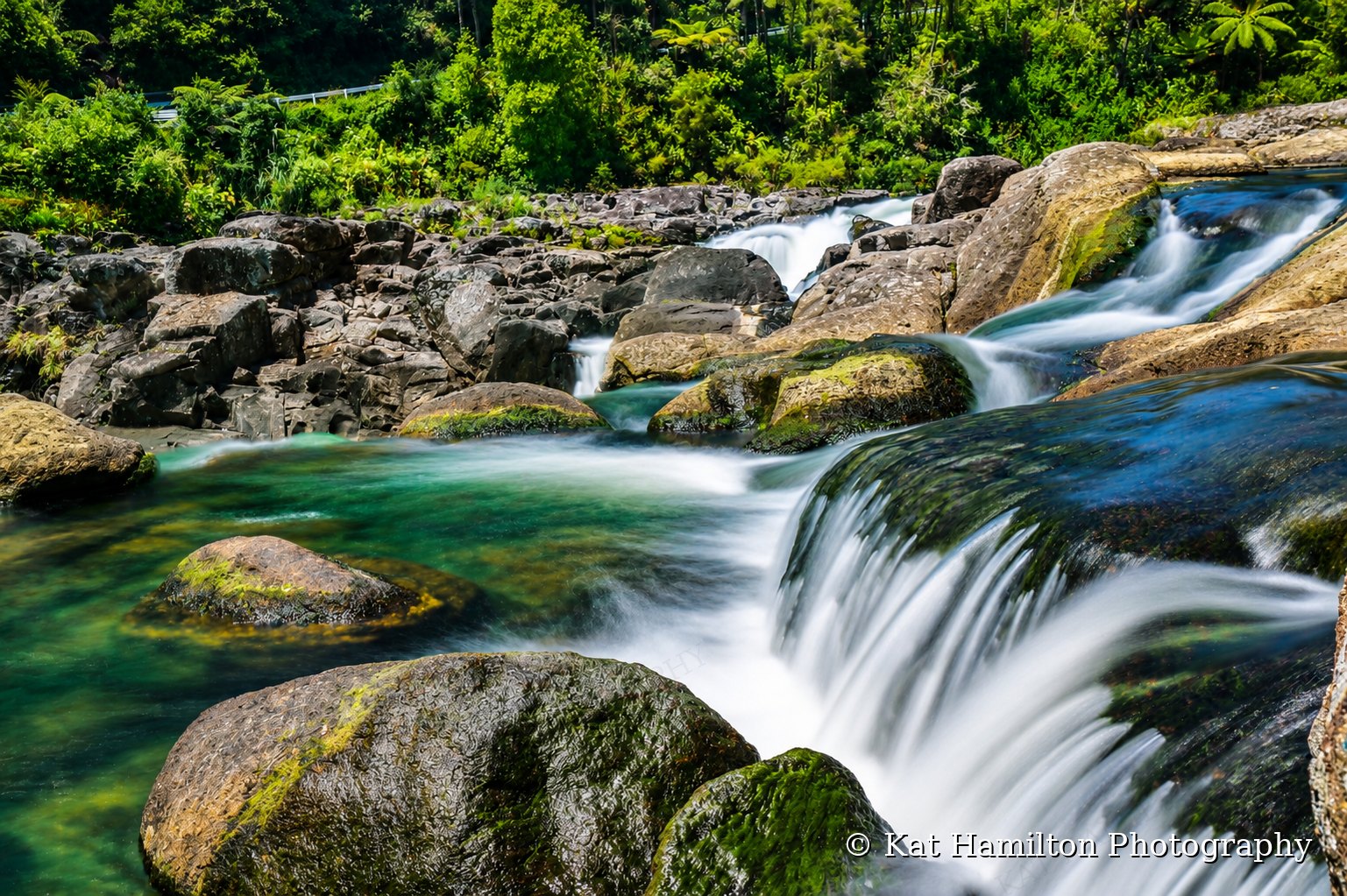 A long-exposure waterfall flowing over mossy boulders into a green pool, with tree ferns and bush behind.