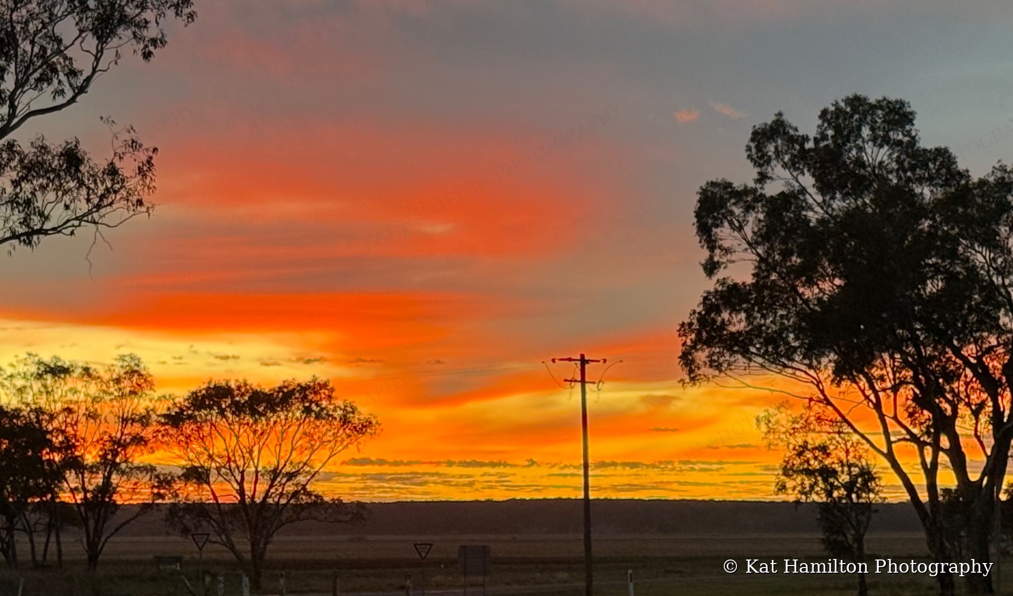 A bright orange and yellow sky behind silhouetted gum trees and a power pole on the plains near Premer.