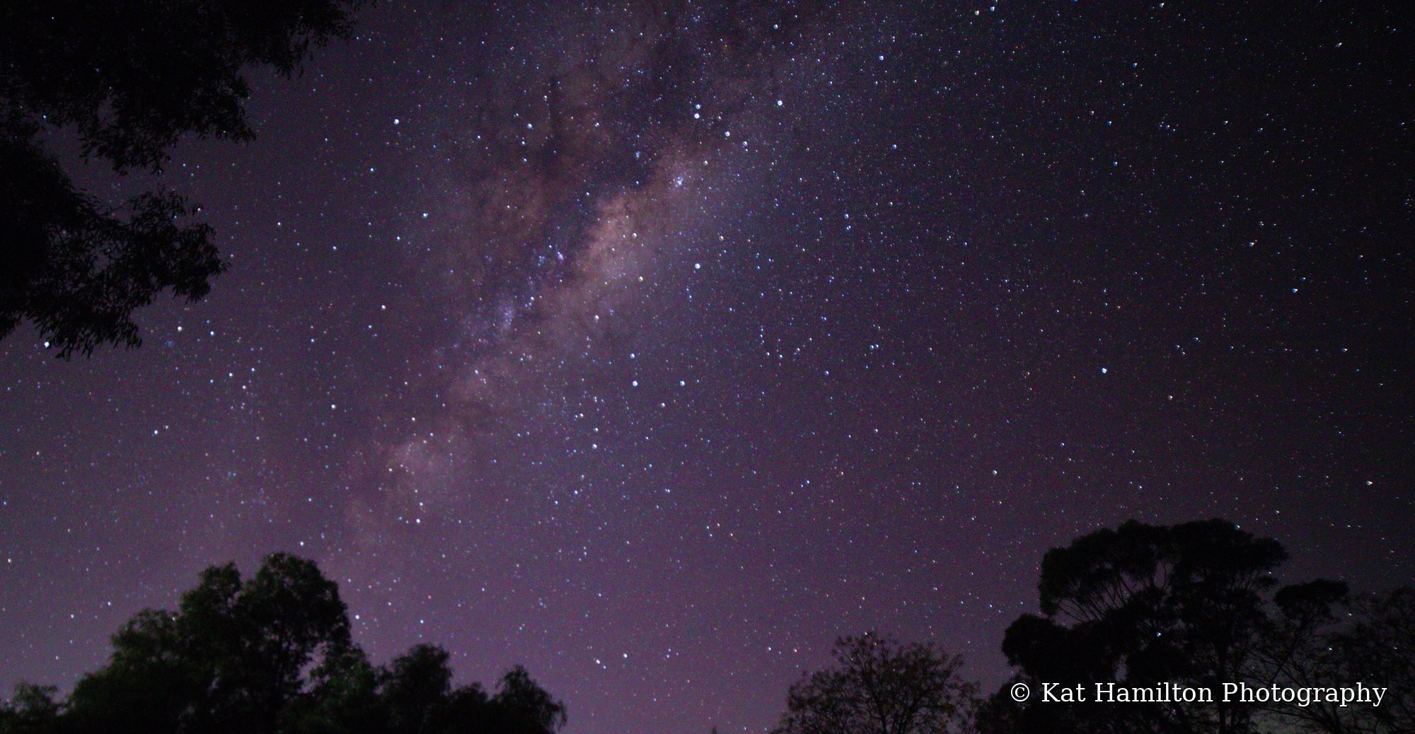 The bright centre of the Milky Way glowing in pink and purple above silhouetted trees.