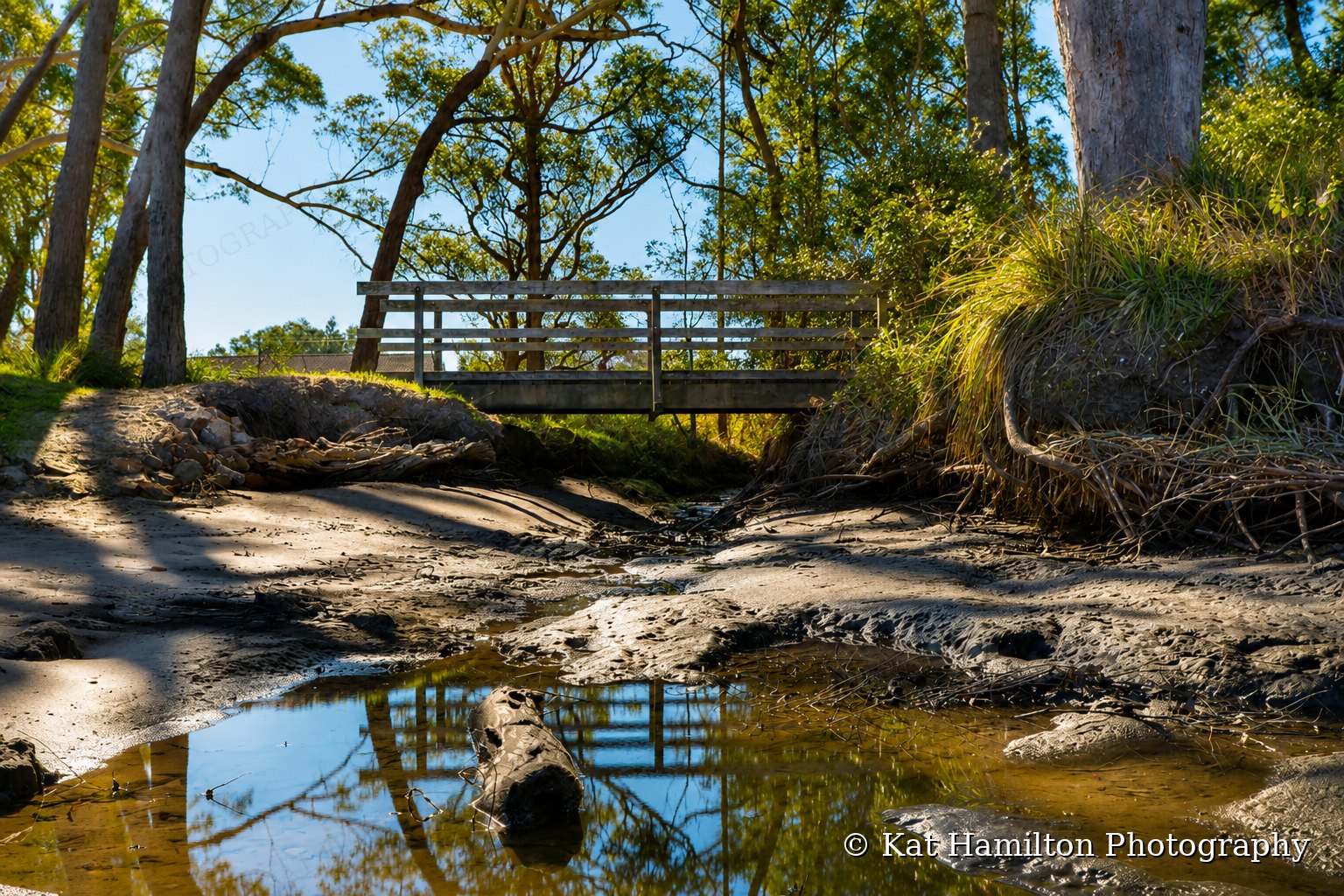 A timber footbridge over a tidal creek at low tide, reflected in a pool among sand and mud, with sunlit trees behind.