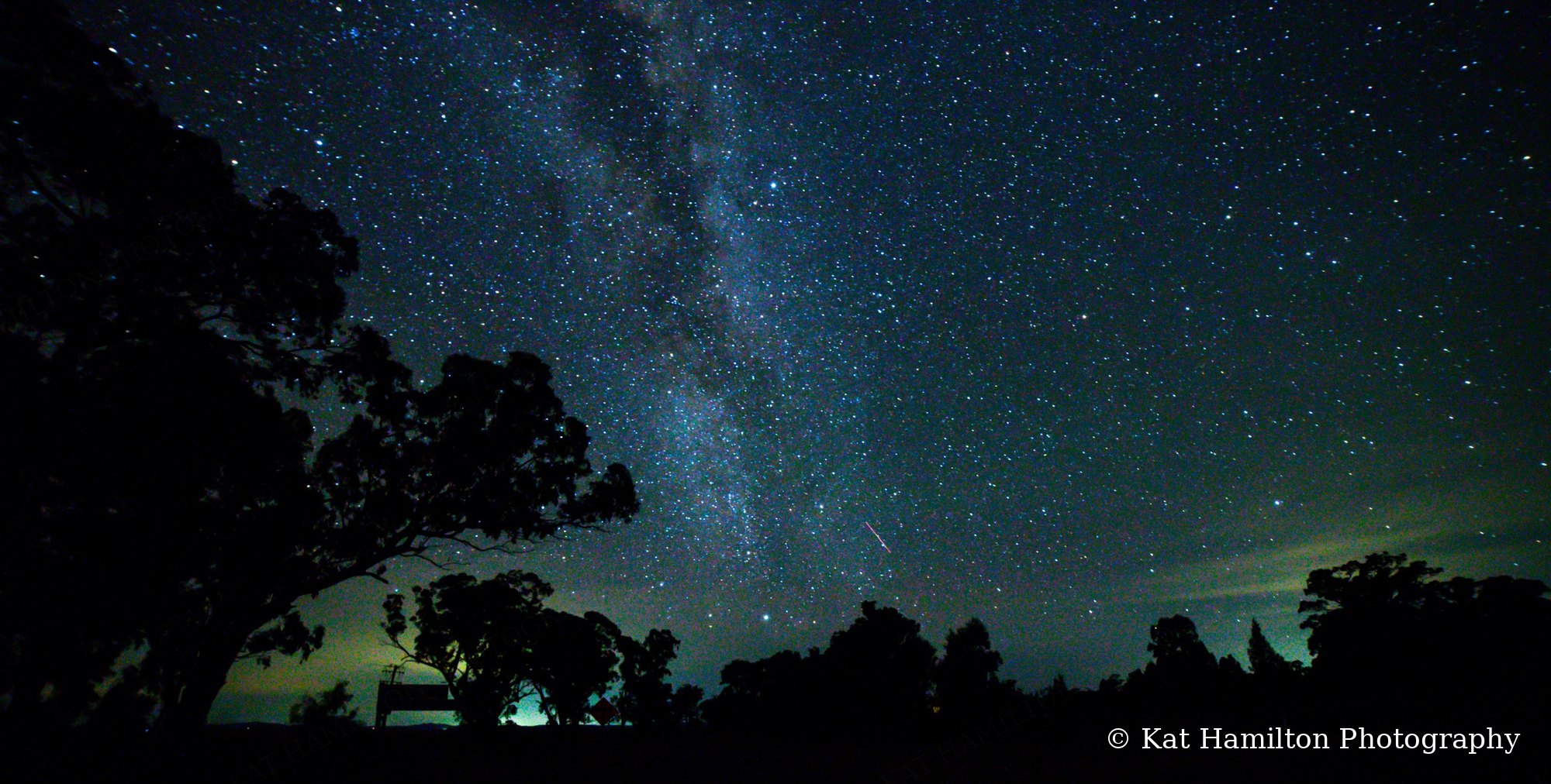 The Milky Way rising above silhouetted gum trees on a dark country night, with a faint green glow on the horizon.